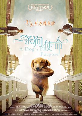 狠狠干精品
