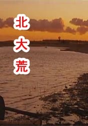 美女被c动态图
